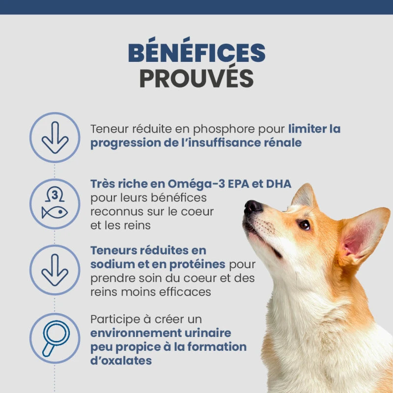 Specific CKD Heart/Kidney Pour Chiens 4 Specific CKD Heart/Kidney Pour Chiens – Image 4