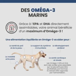 Specific CKD Heart/Kidney Pour Chiens 16 Specific CKD Heart/Kidney Pour Chiens -Vetoavenue specific ckd heart kidney 6