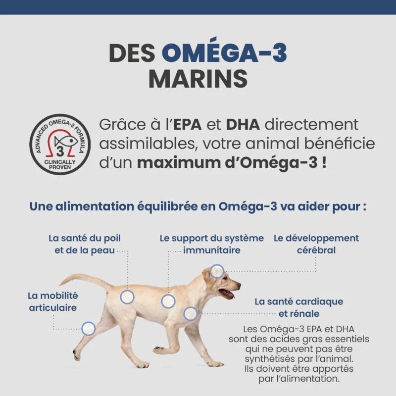 Specific CKD Heart/Kidney Pour Chiens 7 Specific CKD Heart/Kidney Pour Chiens – Image 7