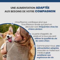 Specific CKW Kidney Support 12 Specific CKW Kidney Support -Vetoavenue specific ckw kidney support 2