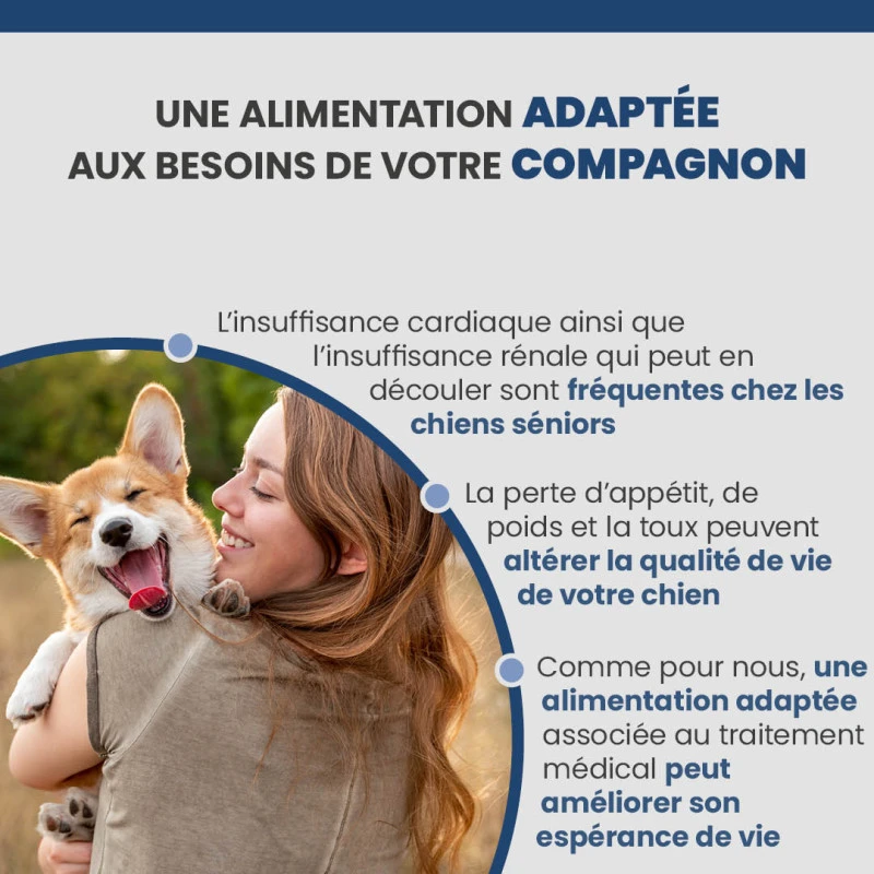 Specific CKW Kidney Support 3 Specific CKW Kidney Support – Image 3