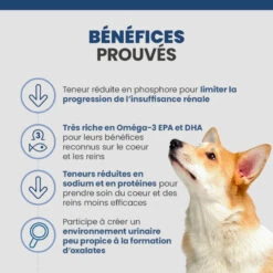 Specific CKW Kidney Support 13 Specific CKW Kidney Support -Vetoavenue specific ckw kidney support 3