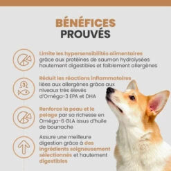 Specific COD-Hy Allergy Management -Vetoavenue specific cod hy allergy management 3