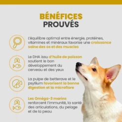 Specific CPD-M Puppy Medium Breed 12 Specific CPD-M Puppy Medium Breed -Vetoavenue specific cpd m puppy medium breed 2