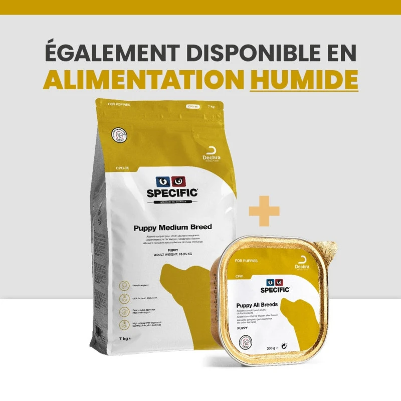 Specific CPD-M Puppy Medium Breed 9 Specific CPD-M Puppy Medium Breed – Image 9