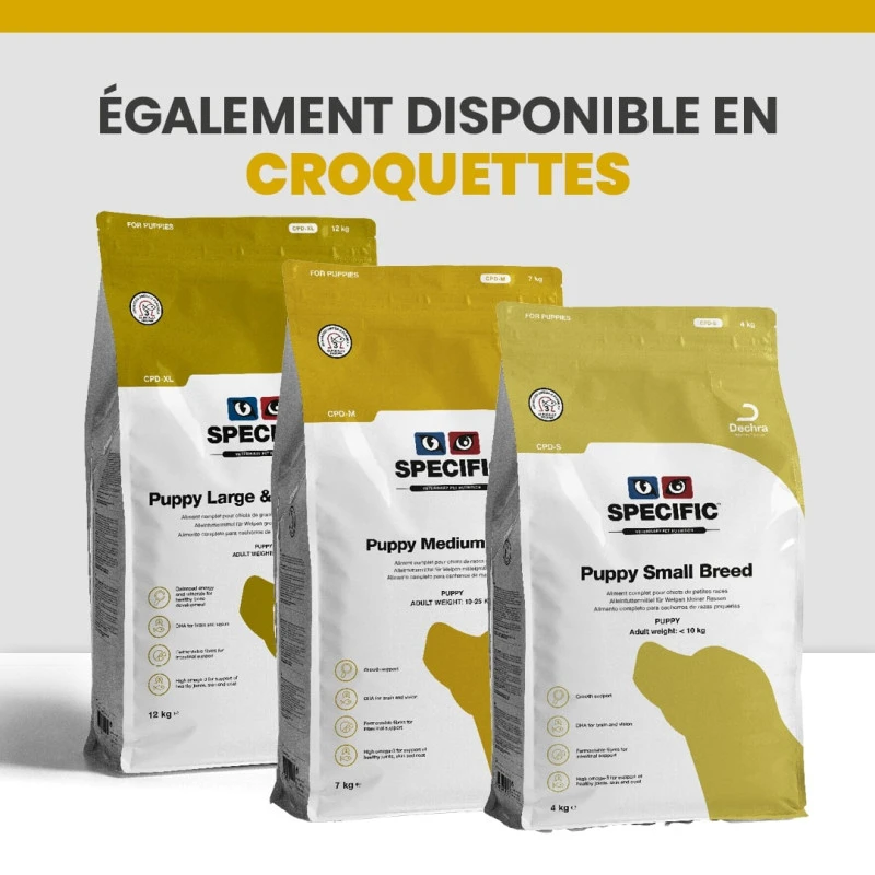 Specific CPW Puppy All Breeds 9 Specific CPW Puppy All Breeds – Image 9