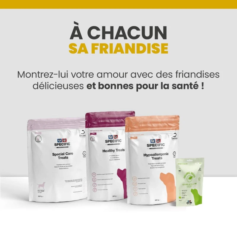 Specific CPW Puppy All Breeds 10 Specific CPW Puppy All Breeds – Image 10