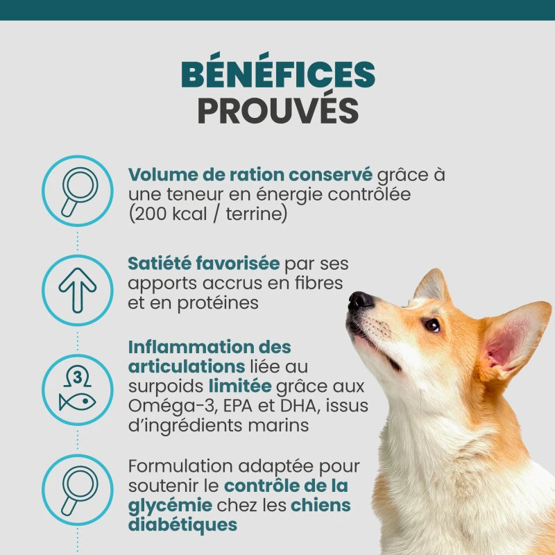 Specific CRW-1 Weight Reduction 5 Specific CRW-1 Weight Reduction – Image 5