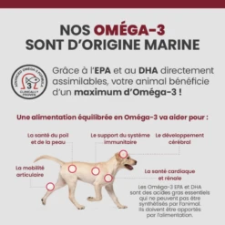 Specific CXD-XL Adult Large & Giant Breed 16 Specific CXD-XL Adult Large & Giant Breed -Vetoavenue specific cxd xl adult large giant breed 5