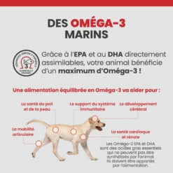 Specific CXW Adult All Breeds -Vetoavenue specific cxw adult all breeds 6