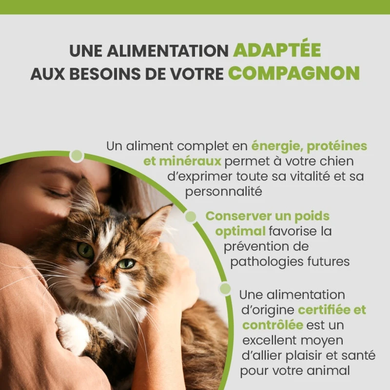 Specific F-BIO-W Organic Fish 4 Specific F-BIO-W Organic Fish – Image 4