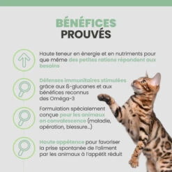 Specific F/C IN-W Intensive Support 11 Specific F/C IN-W Intensive Support -Vetoavenue specific f c in w intensive support 2