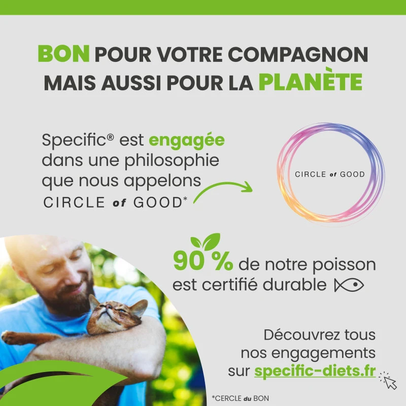 Specific F/C IN-W Intensive Support 5 Specific F/C IN-W Intensive Support – Image 5