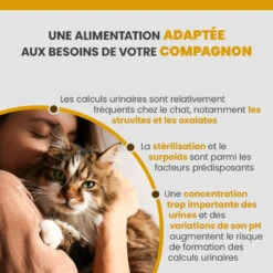 Specific FCD-L Crystal Management Light 15 Specific FCD-L Crystal Management Light -Vetoavenue specific fcd l crystal management light 3