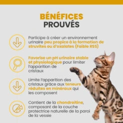 Specific FCD-L Crystal Management Light 16 Specific FCD-L Crystal Management Light -Vetoavenue specific fcd l crystal management light 4