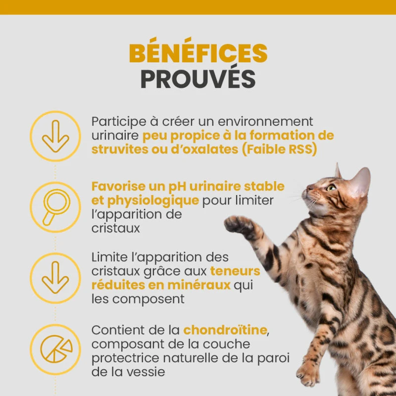 Specific FCD-L Crystal Management Light 5 Specific FCD-L Crystal Management Light – Image 5