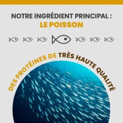 Specific FCD-L Crystal Management Light 17 Specific FCD-L Crystal Management Light -Vetoavenue specific fcd l crystal management light 5