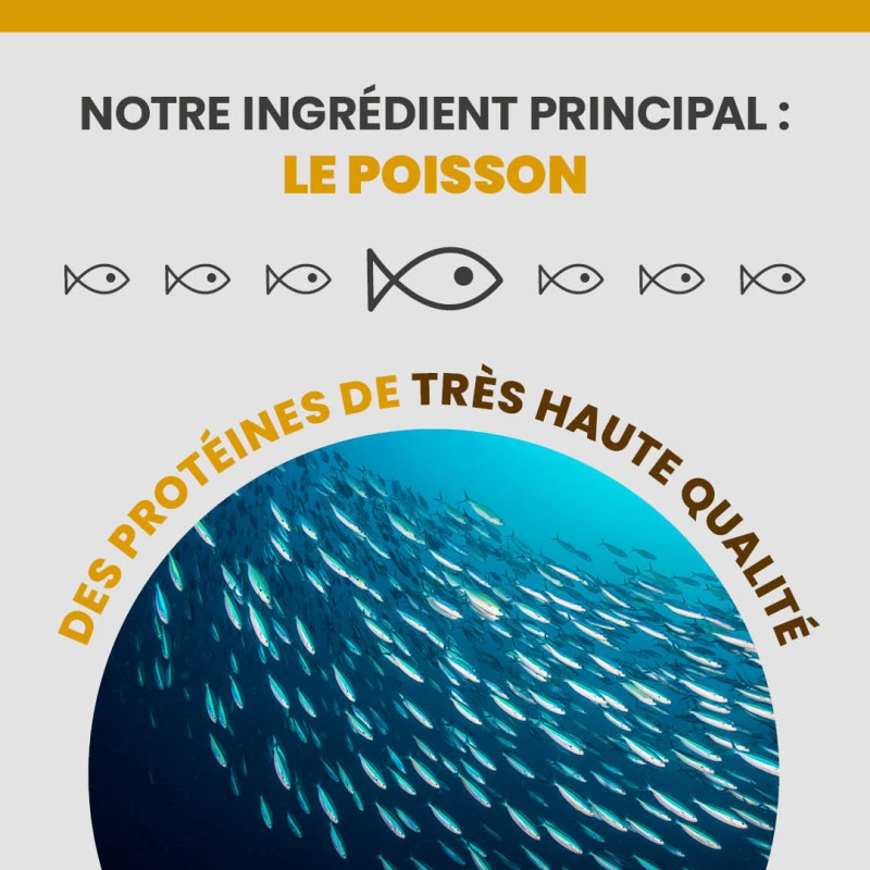 Specific FCD-L Crystal Management Light 6 Specific FCD-L Crystal Management Light – Image 6