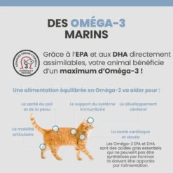 Specific FED-DM Endocrine Support -Vetoavenue specific fed dm endocrine support 7