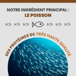 Specific FIW Digestive Support 16 Specific FIW Digestive Support -Vetoavenue specific fiw digestive support 5