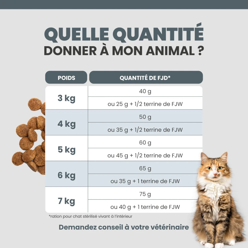 Specific FJD Joint Support 8 Specific FJD Joint Support – Image 8