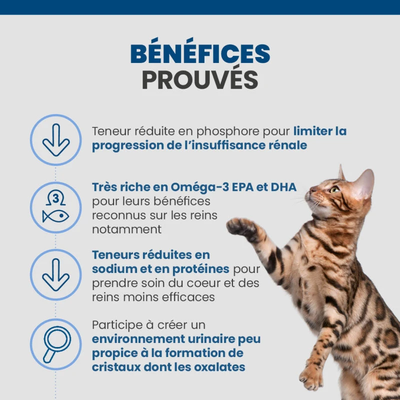 Specific FKD Kidney Support 4 Specific FKD Kidney Support – Image 4