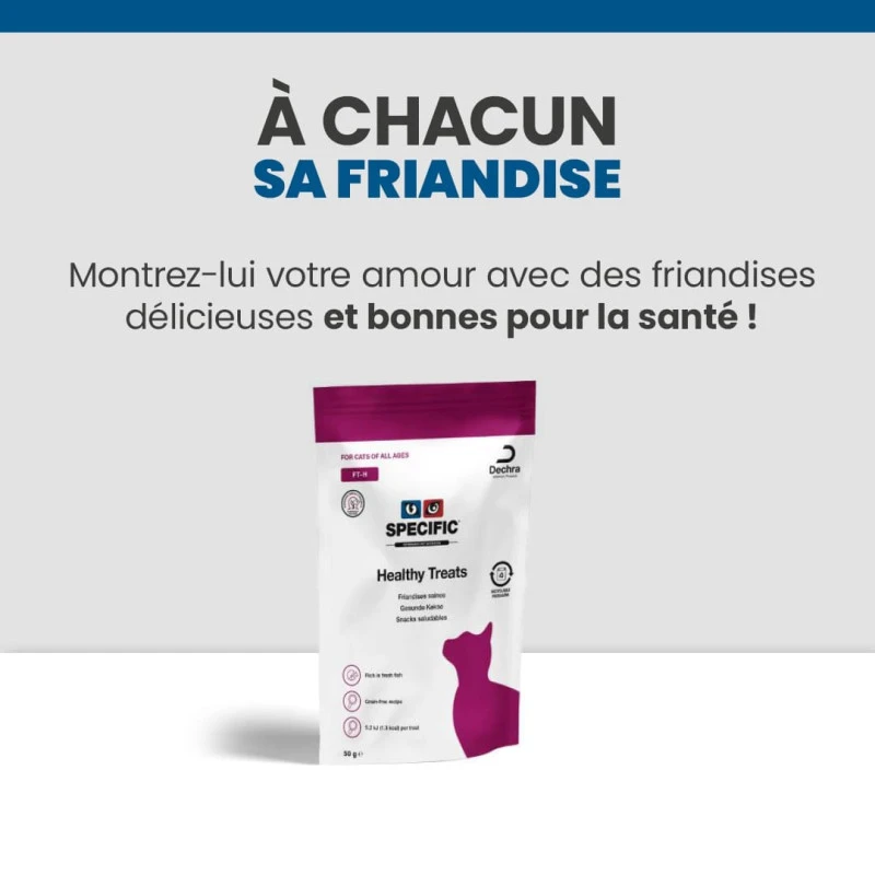 Specific FKW Kidney Support 10 Specific FKW Kidney Support – Image 10