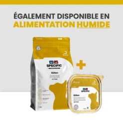 Specific FPD Kitten 18 Specific FPD Kitten -Vetoavenue specific fpd kitten 8