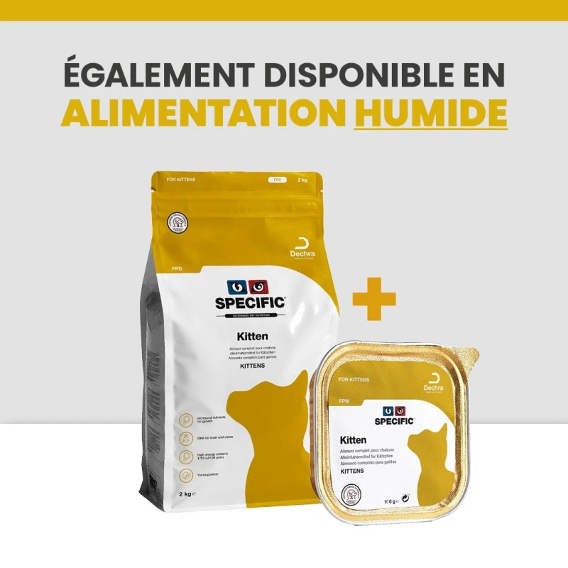 Specific FPD Kitten 9 Specific FPD Kitten – Image 9