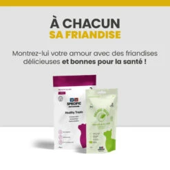 Specific FPD Kitten 19 Specific FPD Kitten -Vetoavenue specific fpd kitten 9