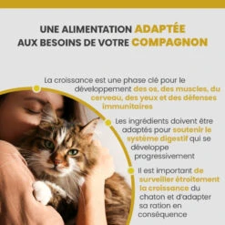 Specific FPW Kitten 13 Specific FPW Kitten -Vetoavenue specific fpw kitten 2