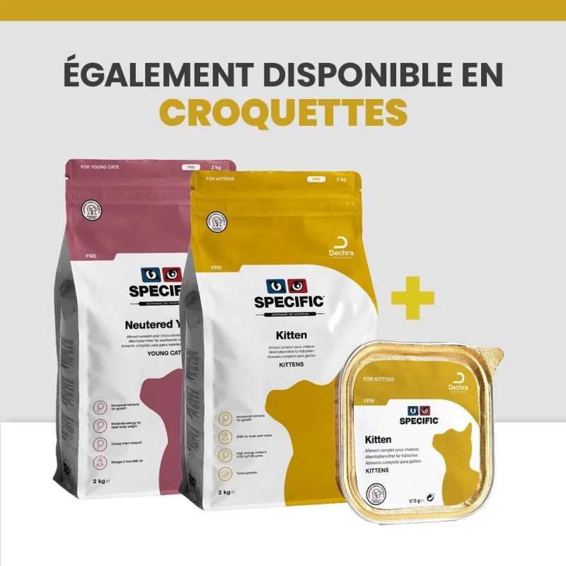 Specific FPW Kitten 10 Specific FPW Kitten – Image 10