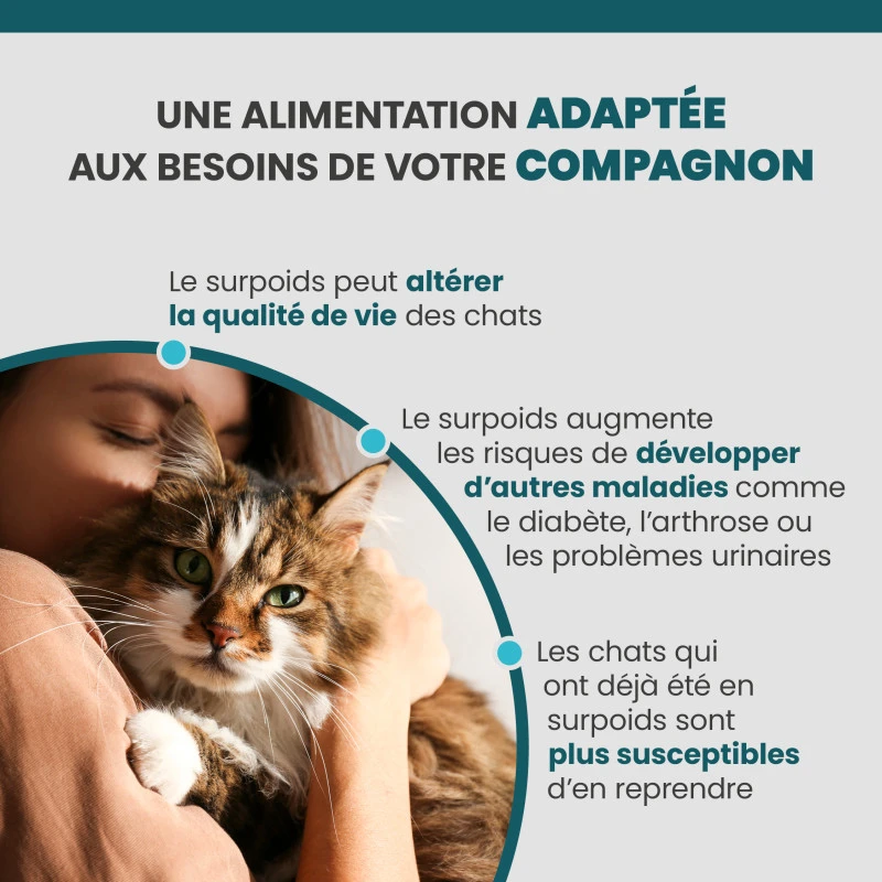 Specific FRD Weight Reduction 2 Specific FRD Weight Reduction – Image 2