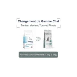 Tonivet Chaton -Vetoavenue tonivet chaton 2
