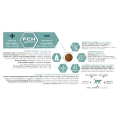 Tonivet Chaton -Vetoavenue tonivet chaton 3