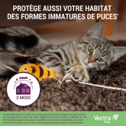 CEVA Vectra Felis 12 CEVA Vectra Felis -Vetoavenue vectra felis 4