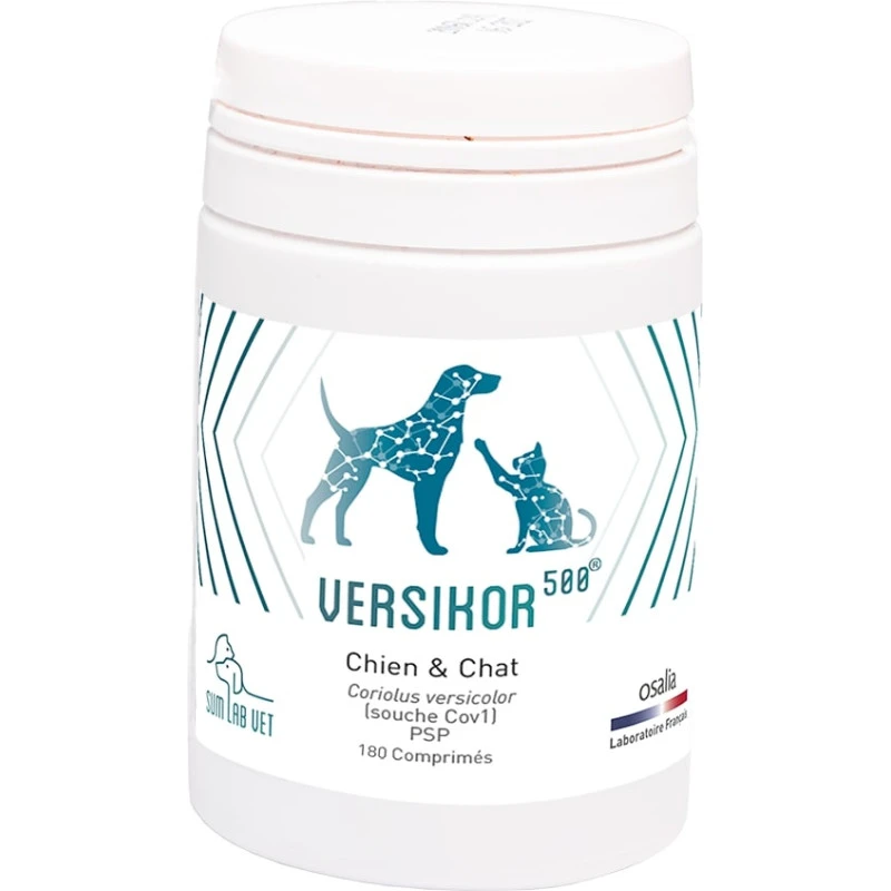 Versikor 500 2 Versikor 500 – Image 2