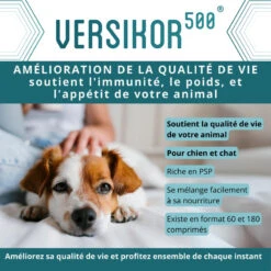 Versikor 500 8 Versikor 500 -Vetoavenue versikor 500 3