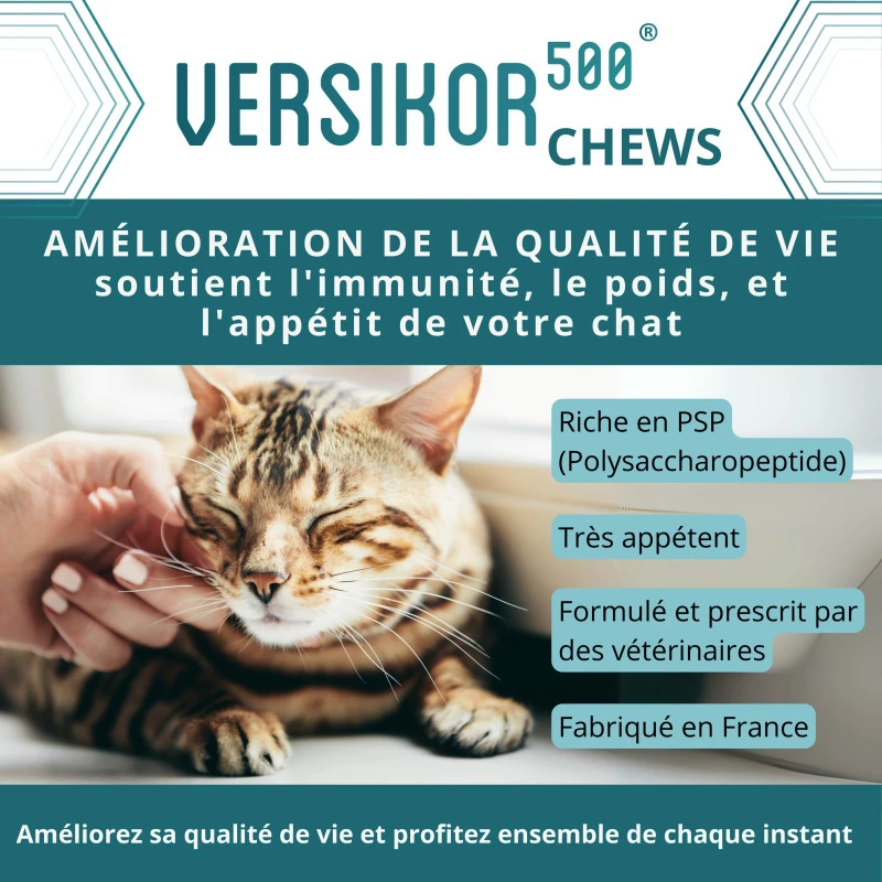 Versikor 500 Chat 2 Versikor 500 Chat – Image 2