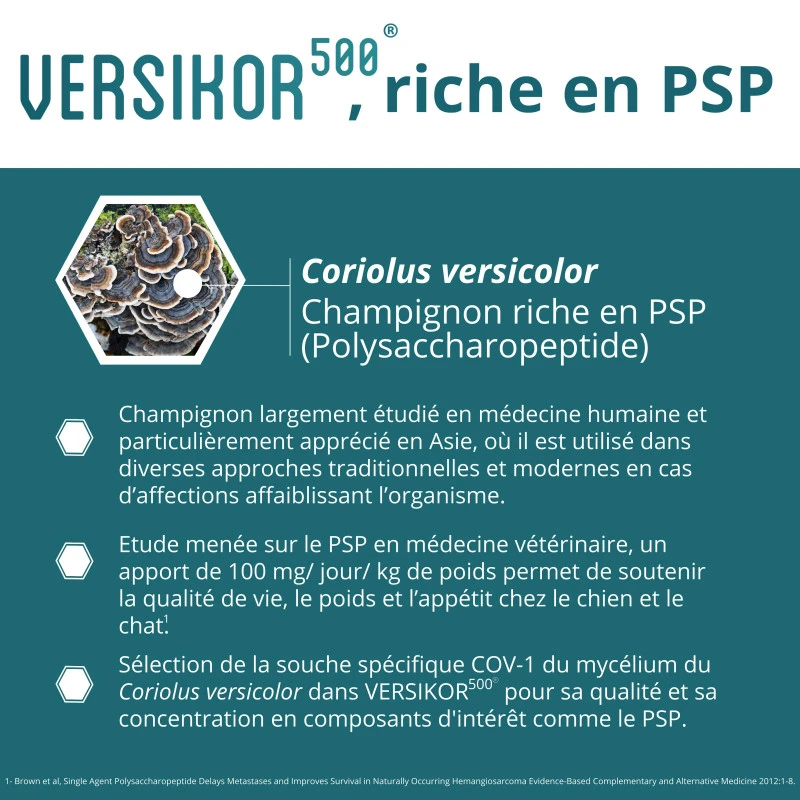 Versikor 500 Chat 3 Versikor 500 Chat – Image 3