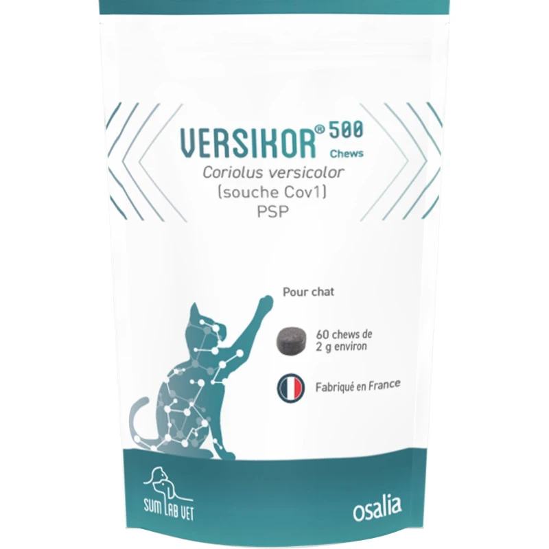 Versikor 500 Chat 1 Versikor 500 Chat