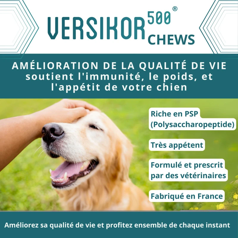 Versikor 500 Chien 2 Versikor 500 Chien – Image 2