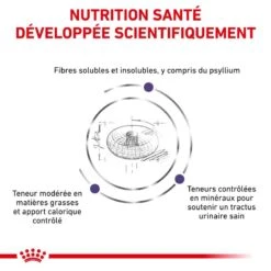 ROYAL CANIN Adult Small Dog 12 ROYAL CANIN Adult Small Dog -Vetoavenue vet care nutrition adult small dog 4