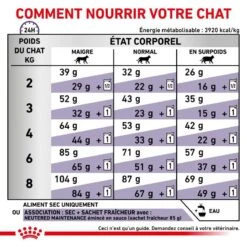 ROYAL CANIN Cat Adult -Vetoavenue vet care nutrition cat adult 2