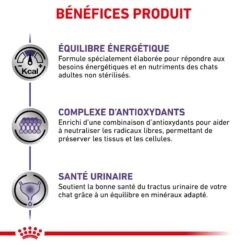 ROYAL CANIN Cat Adult -Vetoavenue vet care nutrition cat adult 4