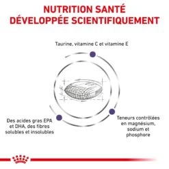 ROYAL CANIN Cat Adult -Vetoavenue vet care nutrition cat adult 5