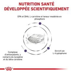 ROYAL CANIN Mature Consult Medium Dog 13 ROYAL CANIN Mature Consult Medium Dog -Vetoavenue vet care nutrition mature 5