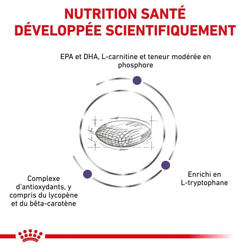 ROYAL CANIN Mature Consult Medium Dog 6 ROYAL CANIN Mature Consult Medium Dog – Image 6