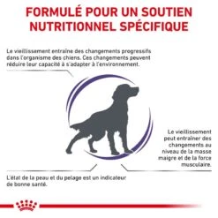 ROYAL CANIN Mature Consult Medium Dog 14 ROYAL CANIN Mature Consult Medium Dog -Vetoavenue vet care nutrition mature 6