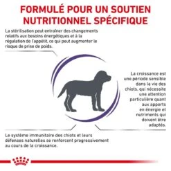 ROYAL CANIN Neutered Junior -Vetoavenue vet care nutrition neutered junior 3